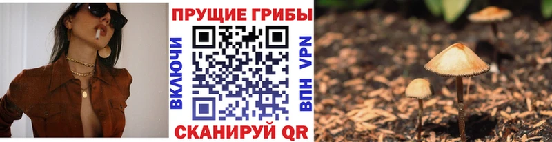 Купить где  Макаров  Псилоцибиновые грибы прущие грибы 